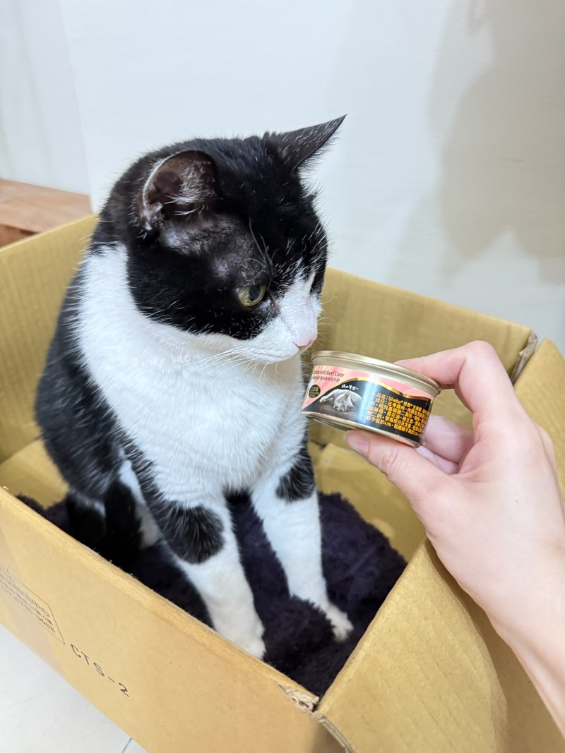 [寵物]成貓飼料推薦Sheba®希寶-貓咪濕糧滿足貓咪味蕾【