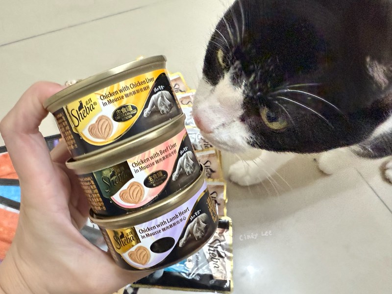[寵物]成貓飼料推薦Sheba®希寶-貓咪濕糧滿足貓咪味蕾【