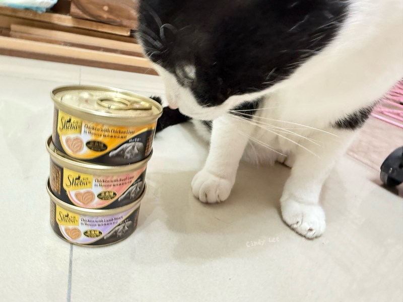 [寵物]成貓飼料推薦Sheba®希寶-貓咪濕糧滿足貓咪味蕾【