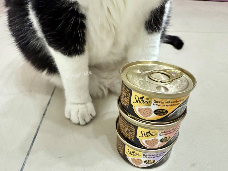 [寵物]成貓飼料推薦Sheba®希寶-貓咪濕糧滿足貓咪味蕾【