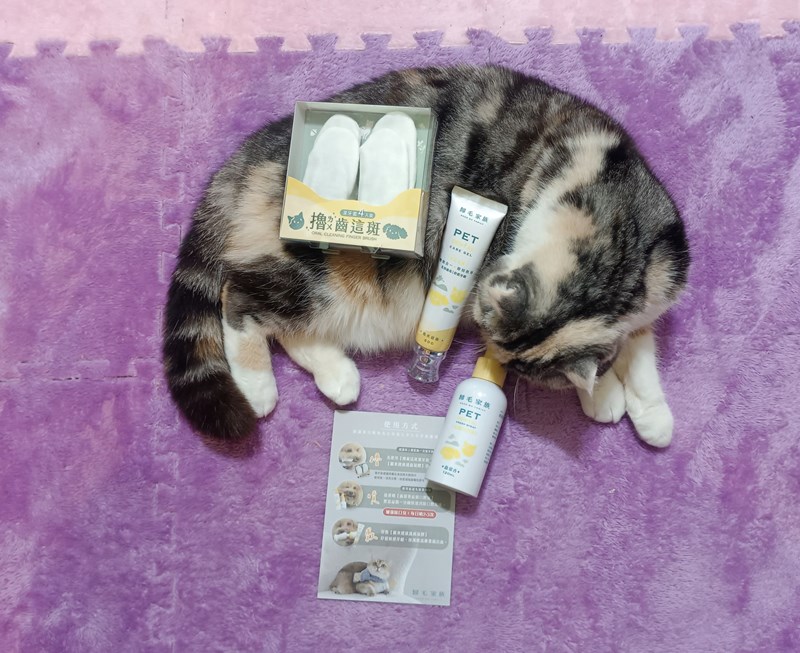 試用