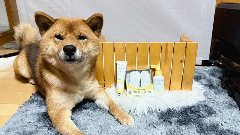 歸毛家族 寵物一口好牙組 狗狗潔牙推薦 寵物潔牙分享 寵物口腔保養 - 第1張圖 試用
