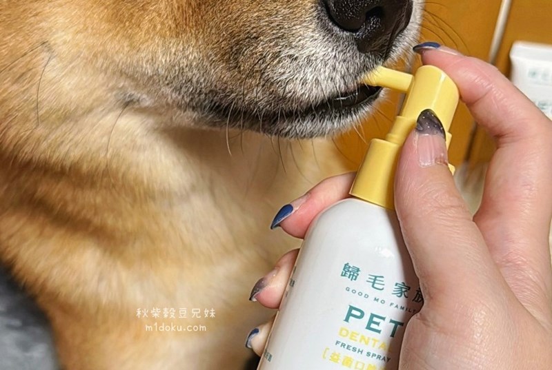 歸毛家族 寵物一口好牙組 狗狗潔牙推薦 寵物潔牙分享 寵物口腔保養 - 第6張圖 試用