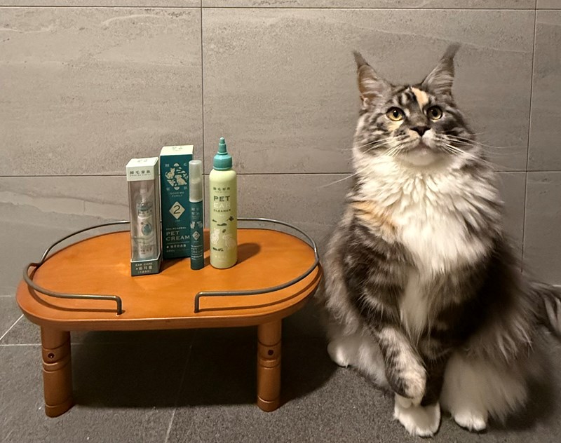 女人知己試用大隊,口碑行銷,部落客行銷,歸毛家族,歸毛家族萌耳液,歸毛家族萌耳靈,Goodmofamily歸毛家族 寵物萌耳保衛組,歸毛家族 萌耳保衛組,萌耳液,萌耳靈,精萃營養霜,耳道營養保護力,平衡耳道內油脂分泌,無抗生素,無類固醇,神經醯胺,歐盟有機認證成分,19種綜合胺基酸,榮獲SNQ國家認證,上萬毛爸媽見證,3週幫助耳道健康