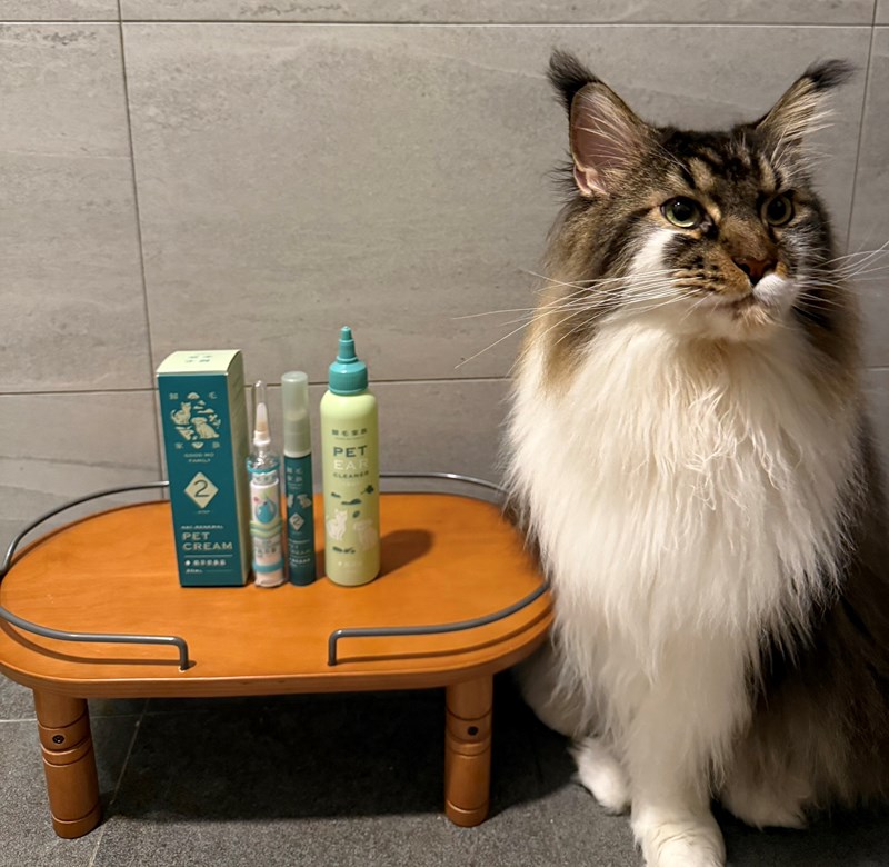 女人知己試用大隊,口碑行銷,部落客行銷,歸毛家族,歸毛家族萌耳液,歸毛家族萌耳靈,Goodmofamily歸毛家族 寵物萌耳保衛組,歸毛家族 萌耳保衛組,萌耳液,萌耳靈,精萃營養霜,耳道營養保護力,平衡耳道內油脂分泌,無抗生素,無類固醇,神經醯胺,歐盟有機認證成分,19種綜合胺基酸,榮獲SNQ國家認證,上萬毛爸媽見證,3週幫助耳道健康