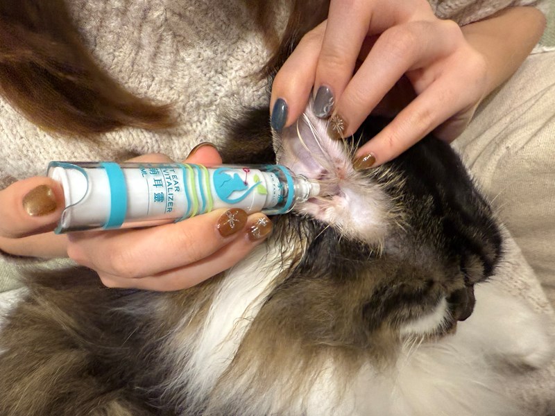 女人知己試用大隊,口碑行銷,部落客行銷,歸毛家族,歸毛家族萌耳液,歸毛家族萌耳靈,Goodmofamily歸毛家族 寵物萌耳保衛組,歸毛家族 萌耳保衛組,萌耳液,萌耳靈,精萃營養霜,耳道營養保護力,平衡耳道內油脂分泌,無抗生素,無類固醇,神經醯胺,歐盟有機認證成分,19種綜合胺基酸,榮獲SNQ國家認證,上萬毛爸媽見證,3週幫助耳道健康