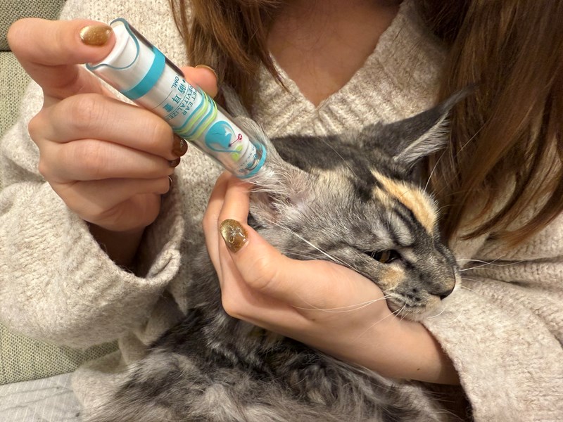 女人知己試用大隊,口碑行銷,部落客行銷,歸毛家族,歸毛家族萌耳液,歸毛家族萌耳靈,Goodmofamily歸毛家族 寵物萌耳保衛組,歸毛家族 萌耳保衛組,萌耳液,萌耳靈,精萃營養霜,耳道營養保護力,平衡耳道內油脂分泌,無抗生素,無類固醇,神經醯胺,歐盟有機認證成分,19種綜合胺基酸,榮獲SNQ國家認證,上萬毛爸媽見證,3週幫助耳道健康