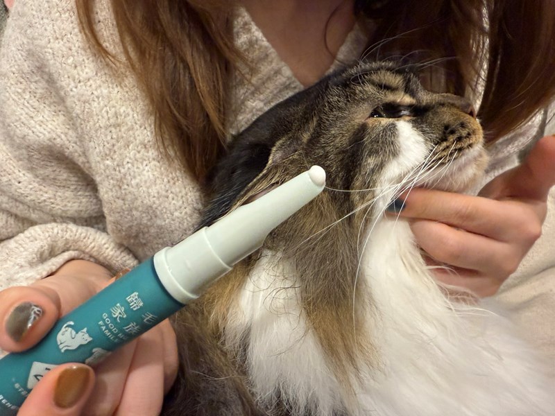 女人知己試用大隊,口碑行銷,部落客行銷,歸毛家族,歸毛家族萌耳液,歸毛家族萌耳靈,Goodmofamily歸毛家族 寵物萌耳保衛組,歸毛家族 萌耳保衛組,萌耳液,萌耳靈,精萃營養霜,耳道營養保護力,平衡耳道內油脂分泌,無抗生素,無類固醇,神經醯胺,歐盟有機認證成分,19種綜合胺基酸,榮獲SNQ國家認證,上萬毛爸媽見證,3週幫助耳道健康