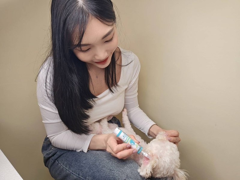 女人知己試用大隊,口碑行銷,部落客行銷,歸毛家族,歸毛家族萌耳液,歸毛家族萌耳靈,Goodmofamily歸毛家族 寵物萌耳保衛組,歸毛家族 萌耳保衛組,萌耳液,萌耳靈,精萃營養霜,耳道營養保護力,平衡耳道內油脂分泌,無抗生素,無類固醇,神經醯胺,歐盟有機認證成分,19種綜合胺基酸,榮獲SNQ國家認證,上萬毛爸媽見證,3週幫助耳道健康