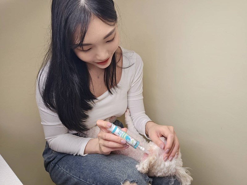 女人知己試用大隊,口碑行銷,部落客行銷,歸毛家族,歸毛家族萌耳液,歸毛家族萌耳靈,Goodmofamily歸毛家族 寵物萌耳保衛組,歸毛家族 萌耳保衛組,萌耳液,萌耳靈,精萃營養霜,耳道營養保護力,平衡耳道內油脂分泌,無抗生素,無類固醇,神經醯胺,歐盟有機認證成分,19種綜合胺基酸,榮獲SNQ國家認證,上萬毛爸媽見證,3週幫助耳道健康