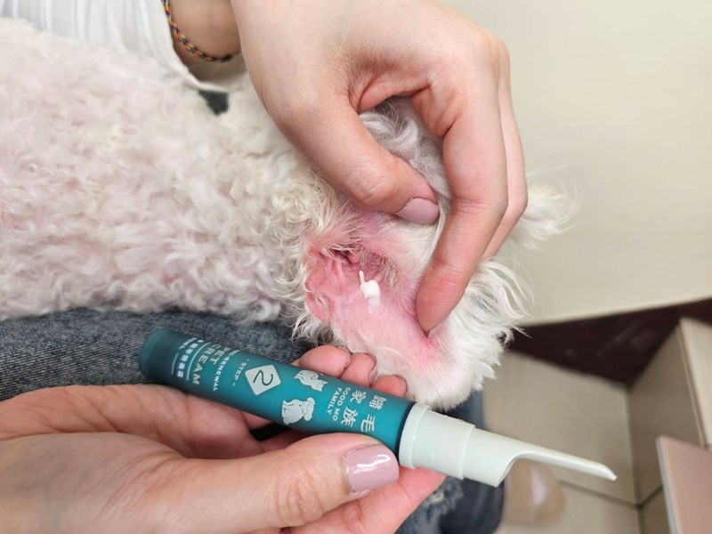 女人知己試用大隊,口碑行銷,部落客行銷,歸毛家族,歸毛家族萌耳液,歸毛家族萌耳靈,Goodmofamily歸毛家族 寵物萌耳保衛組,歸毛家族 萌耳保衛組,萌耳液,萌耳靈,精萃營養霜,耳道營養保護力,平衡耳道內油脂分泌,無抗生素,無類固醇,神經醯胺,歐盟有機認證成分,19種綜合胺基酸,榮獲SNQ國家認證,上萬毛爸媽見證,3週幫助耳道健康