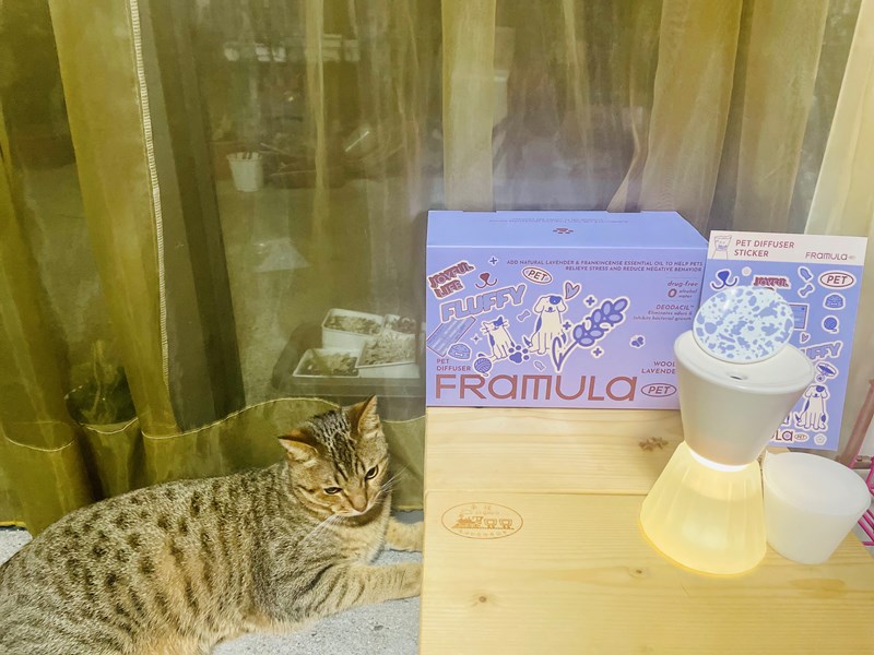 女人知己試用大隊,口碑行銷,部落客行銷,FRAMULA芬乘 寵物香氛儀套裝組,寵物香氛儀,芬乘FRAMULA,寵物去味神器,寵物環保香氛,精油香氛,無酒精香氛儀,寵物異味控制,高質感香氛儀,毛孩居家香氛,低音靜音香氛機,毛孩精緻生活