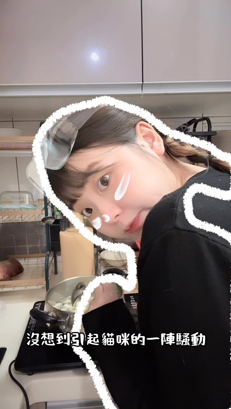 試用