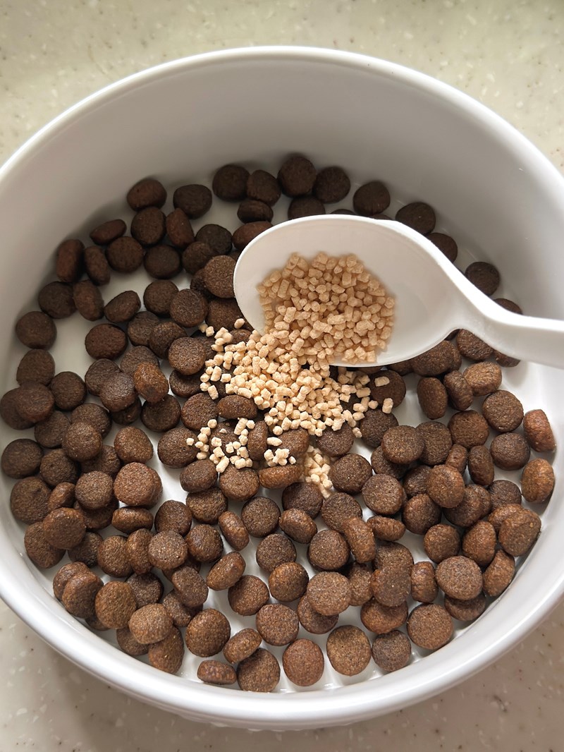 女人知己試用大隊,口碑行銷,部落客行銷,Goodmofamily歸毛家族 Good寶系列寵物保健品,歸毛家族Good寶系列寵物保健品,美膚寶,免疫寶,專利雙效益菌累積達140項認證,法國初乳蛋白,美國專利魚油粉,針對五臟六腑全面打底,維持免疫力,維持抵抗力,專利水溶蝦紅素,抗氧化之王,無毒養殖去殼鱉蛋粉,富含卵磷脂,好吸收的小分子劑型,堅持完整複方,多項國際專利認證,專業營養師團隊