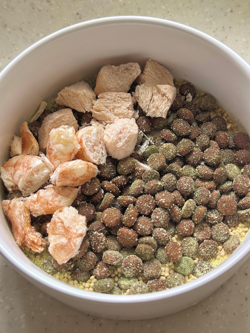 女人知己試用大隊,口碑行銷,部落客行銷,Goodmofamily歸毛家族 Good寶系列寵物保健品,歸毛家族Good寶系列寵物保健品,美膚寶,免疫寶,專利雙效益菌累積達140項認證,法國初乳蛋白,美國專利魚油粉,針對五臟六腑全面打底,維持免疫力,維持抵抗力,專利水溶蝦紅素,抗氧化之王,無毒養殖去殼鱉蛋粉,富含卵磷脂,好吸收的小分子劑型,堅持完整複方,多項國際專利認證,專業營養師團隊