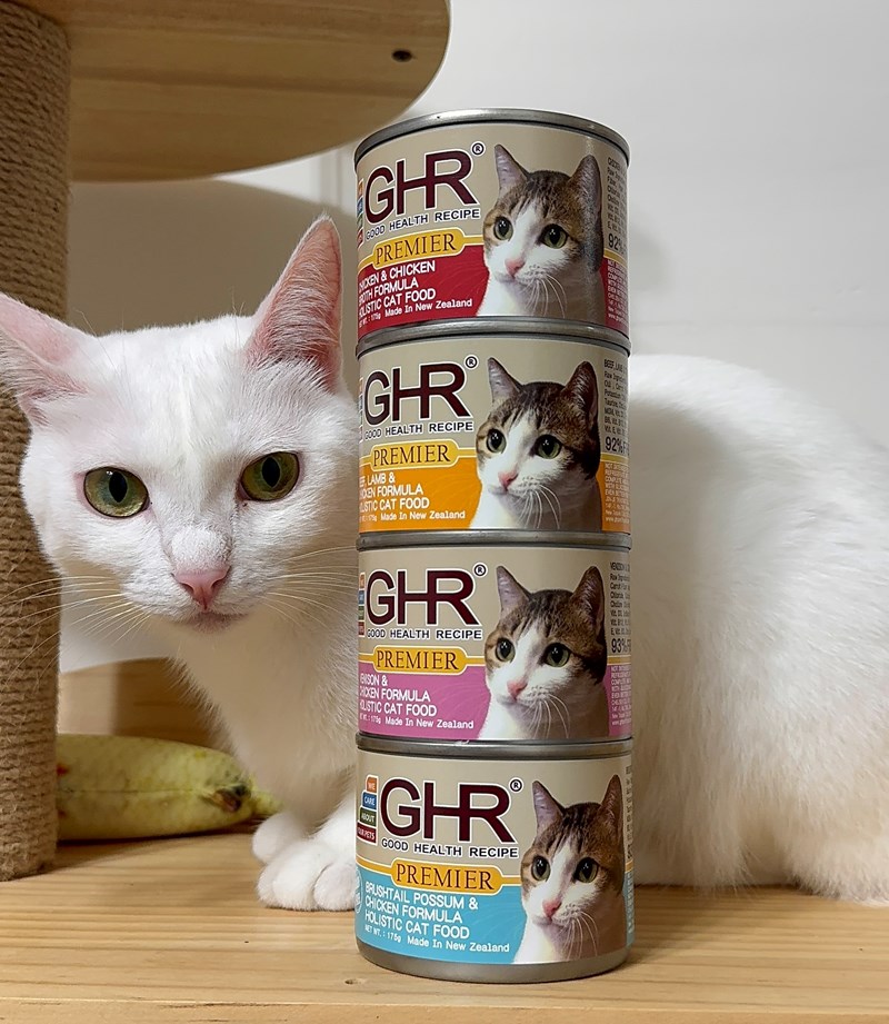 女人知己試用大隊,口碑行銷,部落客行銷,來自純淨自然無汙染的紐西蘭,自然主食罐,GHR 健康主義,GHR,貓用主食罐,貓罐,GHR貓用無穀主食罐,雞肉蔓越莓配方,鹿肉雞肉配方,牛羊加雞配方,刷尾負鼠肉雞肉配方,評價,口碑,適口性佳,心得,紐西蘭GHR,罐頭,貓咪,牛磺酸,軟骨素,維生素關節保健