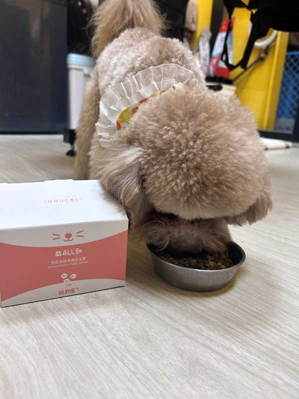 試用