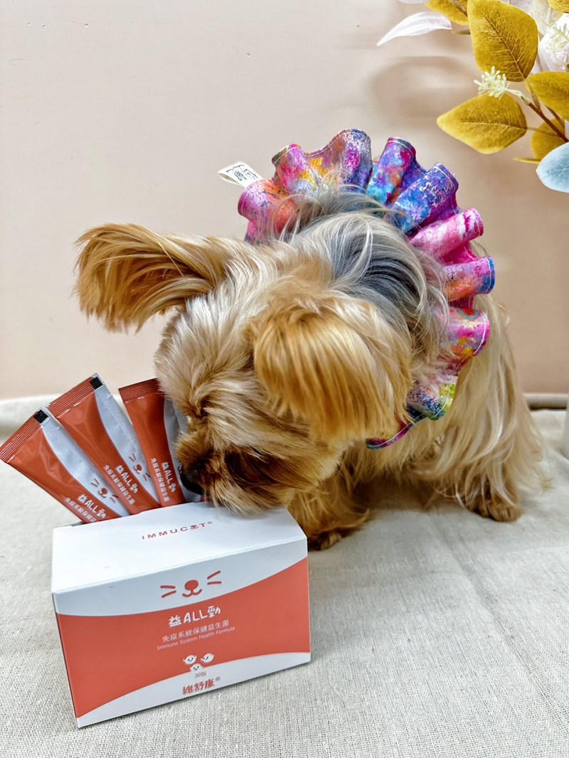 女人知己試用大隊,口碑行銷,部落客行銷,維舒康益生菌系列,維舒康,益生菌,後生元,益ALL勁,益FU勁,益CO勁,免疫保健,皮膚保健,口腔腸道保健