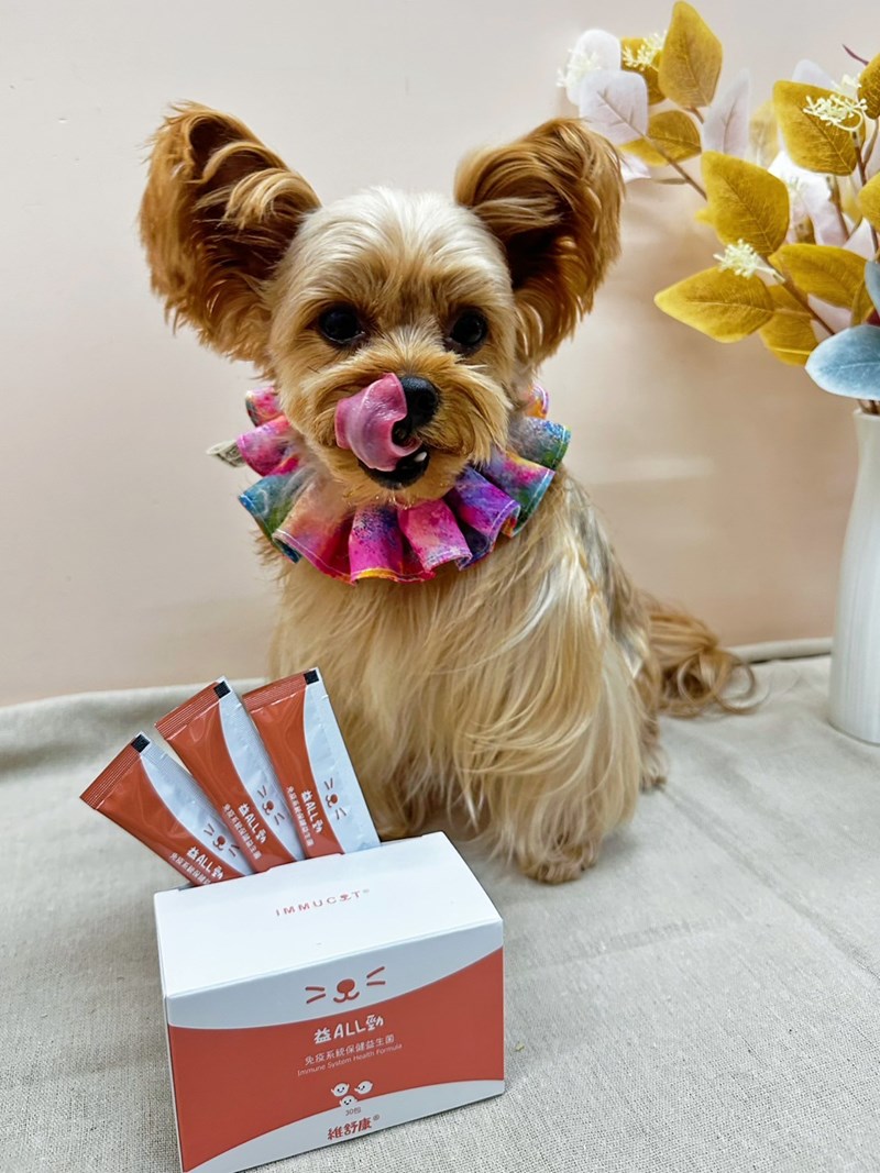 女人知己試用大隊,口碑行銷,部落客行銷,維舒康益生菌系列,維舒康,益生菌,後生元,益ALL勁,益FU勁,益CO勁,免疫保健,皮膚保健,口腔腸道保健