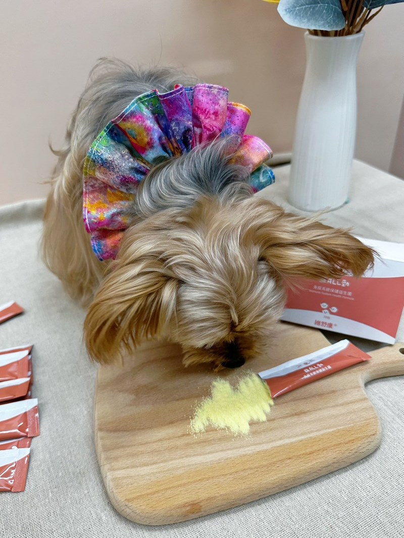 女人知己試用大隊,口碑行銷,部落客行銷,維舒康益生菌系列,維舒康,益生菌,後生元,益ALL勁,益FU勁,益CO勁,免疫保健,皮膚保健,口腔腸道保健