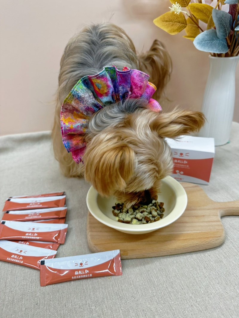 女人知己試用大隊,口碑行銷,部落客行銷,維舒康益生菌系列,維舒康,益生菌,後生元,益ALL勁,益FU勁,益CO勁,免疫保健,皮膚保健,口腔腸道保健