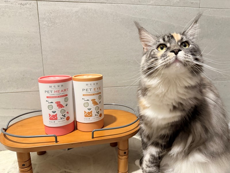 女人知己試用大隊,口碑行銷,部落客行銷,歸毛家族 Good寶寵物保健品,護心寶,視力寶,好吸收的小分子劑型,專業營養師團隊,堅持完整複方,多項國際專利認證,巴西綠蜂膠,游離型葉黃素,保持眼睛明亮,保護視力,專利蚓激酶,輔酵素Q10,幫助血液循環,心血管保健