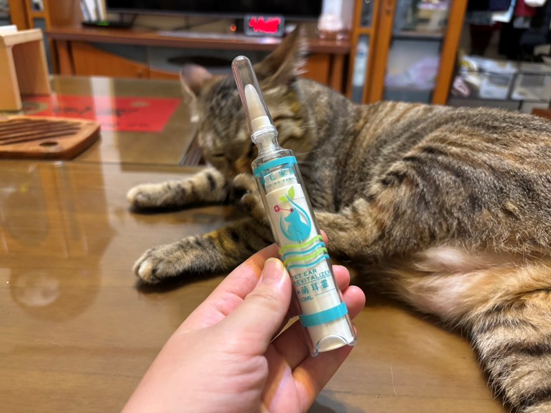 女人知己試用大隊,口碑行銷,部落客行銷,歸毛家族,歸毛家族萌耳液,歸毛家族萌耳靈,Goodmofamily歸毛家族 寵物萌耳保衛組,歸毛家族 萌耳保衛組,萌耳液,萌耳靈,精萃營養霜,耳道營養保護力,平衡耳道內油脂分泌,無抗生素,無類固醇,神經醯胺,歐盟有機認證成分,19種綜合胺基酸,榮獲SNQ國家認證,上萬毛爸媽見證,3週幫助耳道健康