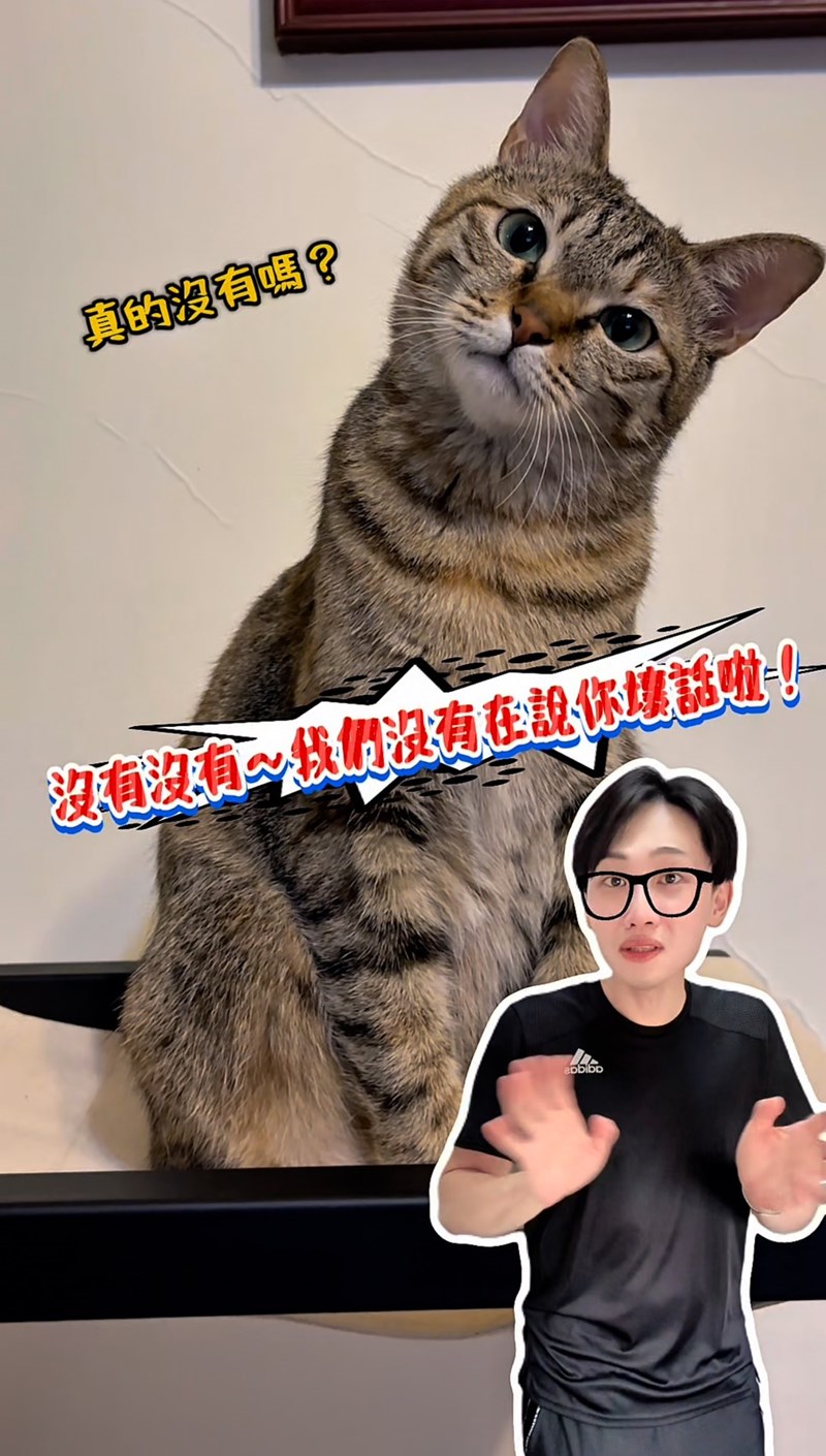 女人知己試用大隊,口碑行銷,部落客行銷,歸毛家族,歸毛家族萌耳液,歸毛家族萌耳靈,Goodmofamily歸毛家族 寵物萌耳保衛組,歸毛家族 萌耳保衛組,萌耳液,萌耳靈,精萃營養霜,耳道營養保護力,平衡耳道內油脂分泌,無抗生素,無類固醇,神經醯胺,歐盟有機認證成分,19種綜合胺基酸,榮獲SNQ國家認證,上萬毛爸媽見證,3週幫助耳道健康