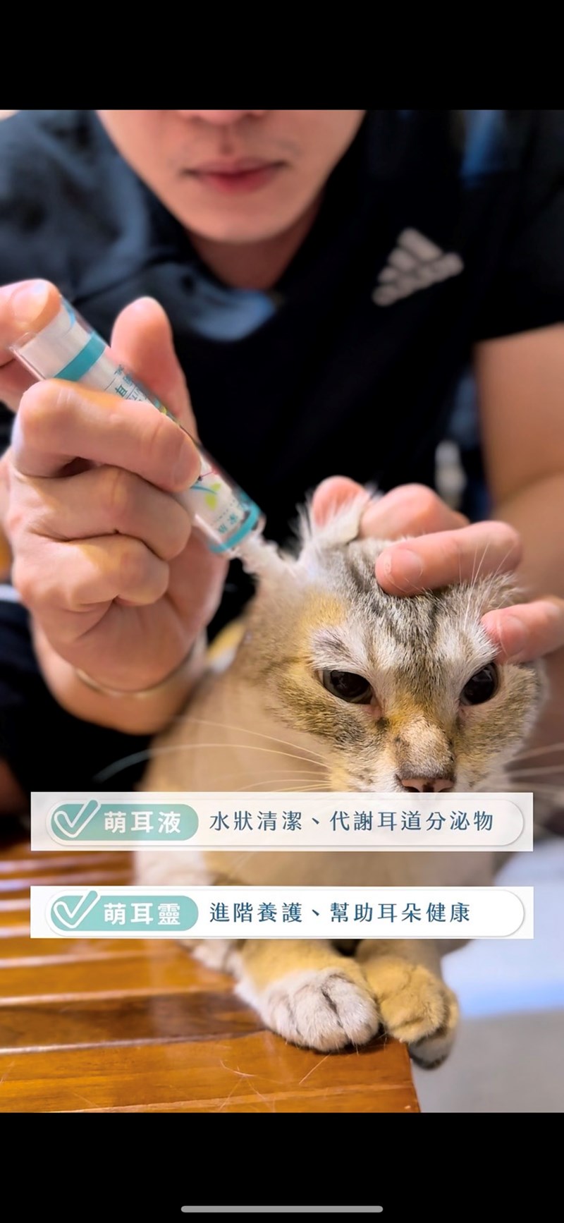 女人知己試用大隊,口碑行銷,部落客行銷,歸毛家族,歸毛家族萌耳液,歸毛家族萌耳靈,Goodmofamily歸毛家族 寵物萌耳保衛組,歸毛家族 萌耳保衛組,萌耳液,萌耳靈,精萃營養霜,耳道營養保護力,平衡耳道內油脂分泌,無抗生素,無類固醇,神經醯胺,歐盟有機認證成分,19種綜合胺基酸,榮獲SNQ國家認證,上萬毛爸媽見證,3週幫助耳道健康