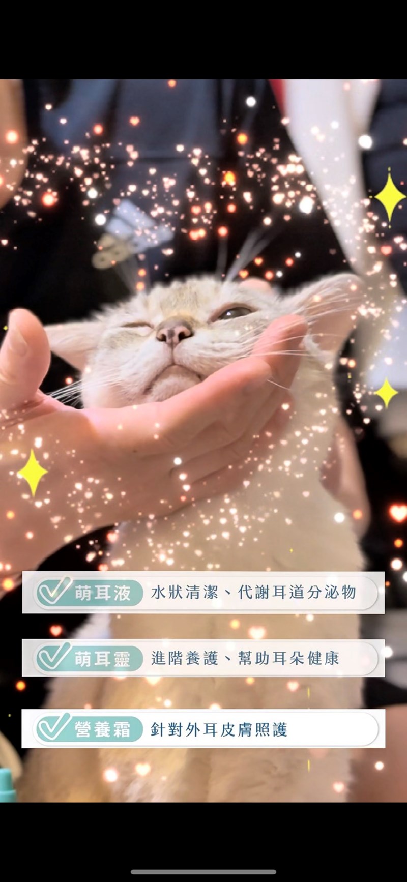 女人知己試用大隊,口碑行銷,部落客行銷,歸毛家族,歸毛家族萌耳液,歸毛家族萌耳靈,Goodmofamily歸毛家族 寵物萌耳保衛組,歸毛家族 萌耳保衛組,萌耳液,萌耳靈,精萃營養霜,耳道營養保護力,平衡耳道內油脂分泌,無抗生素,無類固醇,神經醯胺,歐盟有機認證成分,19種綜合胺基酸,榮獲SNQ國家認證,上萬毛爸媽見證,3週幫助耳道健康