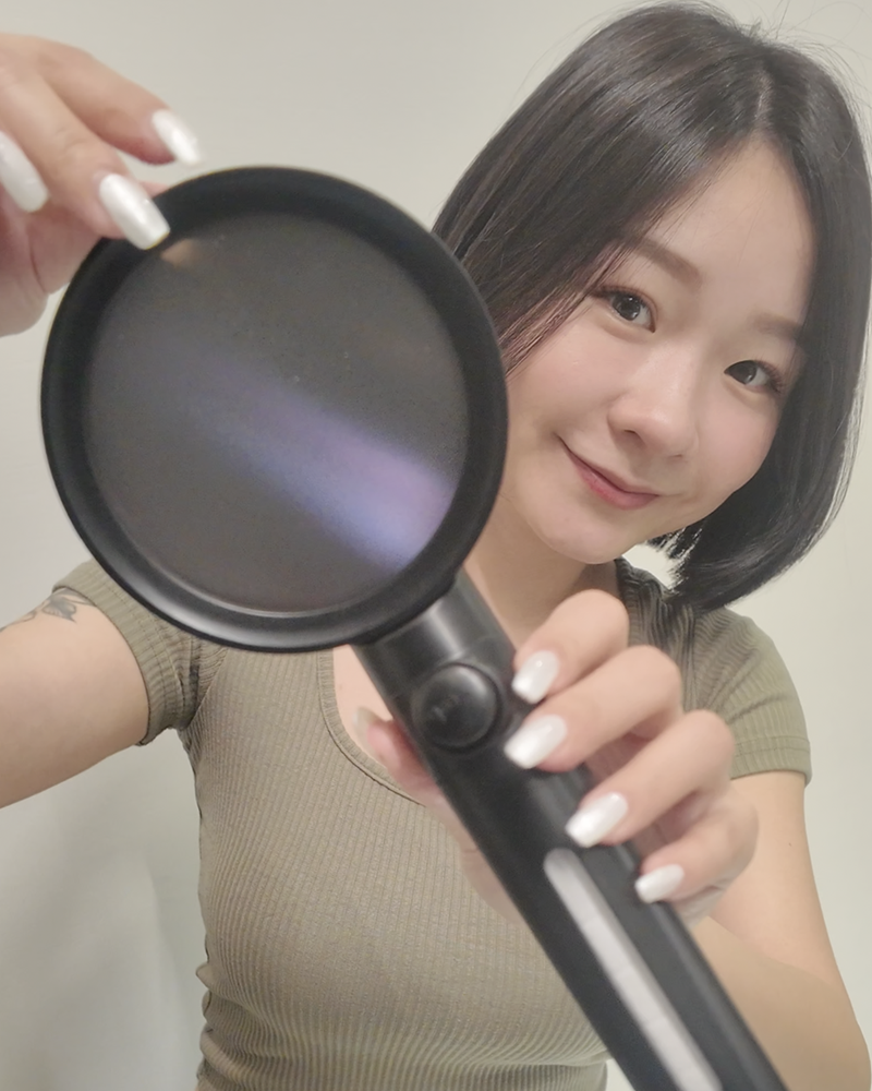 試用
