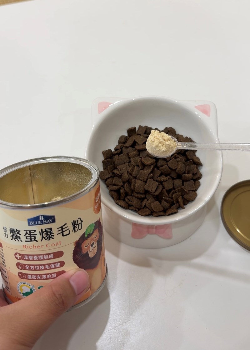 女人知己試用大隊,口碑行銷,部落客行銷,bluebay倍力鱉蛋爆毛養膚粉,倍力鱉蛋粉,鱉蛋粉推薦,養毛粉,換季掉毛,爆毛滑順,皮毛搔癢,鱉蛋粉皮膚,老狗鱉蛋粉,貓咪鱉蛋粉,搔抓,貓皮膚病/貓癬,皮膚保健,皮毛保健