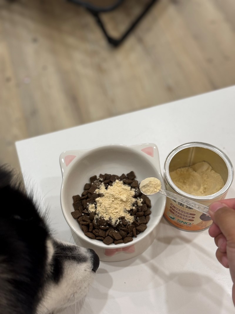 女人知己試用大隊,口碑行銷,部落客行銷,bluebay倍力鱉蛋爆毛養膚粉,倍力鱉蛋粉,鱉蛋粉推薦,養毛粉,換季掉毛,爆毛滑順,皮毛搔癢,鱉蛋粉皮膚,老狗鱉蛋粉,貓咪鱉蛋粉,搔抓,貓皮膚病/貓癬,皮膚保健,皮毛保健