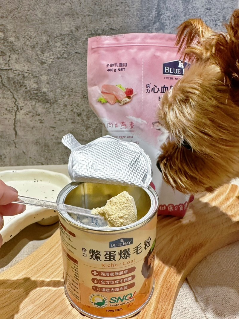 女人知己試用大隊,口碑行銷,部落客行銷,bluebay倍力鱉蛋爆毛養膚粉,倍力鱉蛋粉,鱉蛋粉推薦,養毛粉,換季掉毛,爆毛滑順,皮毛搔癢,鱉蛋粉皮膚,老狗鱉蛋粉,貓咪鱉蛋粉,搔抓,貓皮膚病/貓癬,皮膚保健,皮毛保健