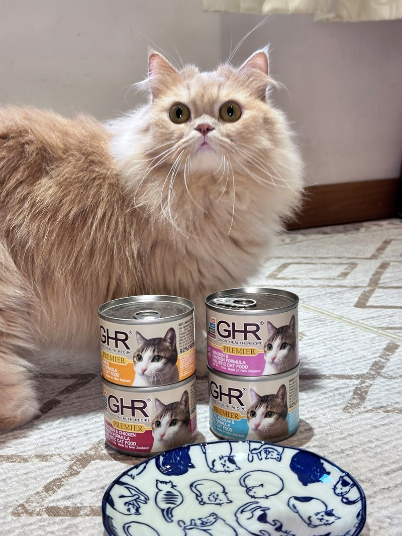 女人知己試用大隊,口碑行銷,部落客行銷,來自純淨自然無汙染的紐西蘭,自然主食罐,GHR 健康主義,GHR,貓用主食罐,貓罐,GHR貓用無穀主食罐,雞肉蔓越莓配方,鹿肉雞肉配方,牛羊加雞配方,刷尾負鼠肉雞肉配方,評價,口碑,適口性佳,心得,紐西蘭GHR,罐頭,貓咪,牛磺酸,軟骨素,維生素關節保健