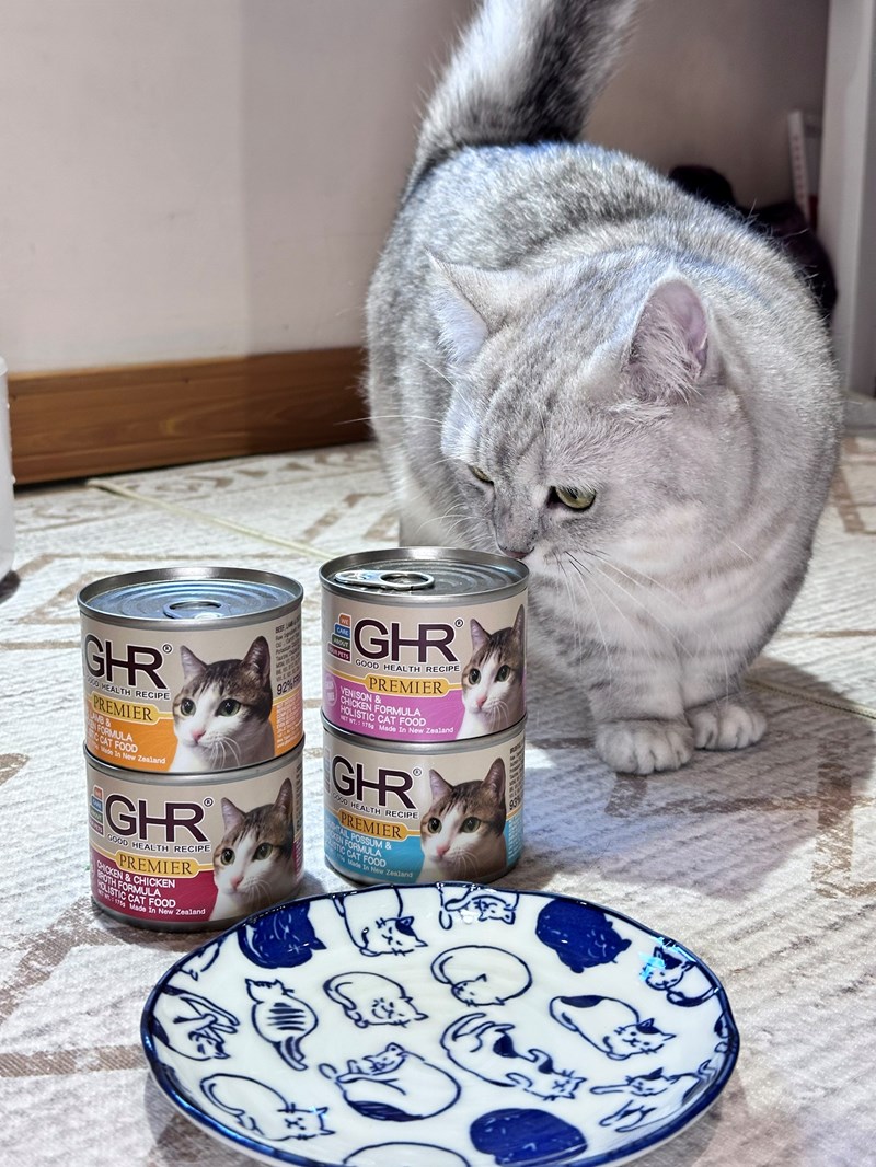 女人知己試用大隊,口碑行銷,部落客行銷,來自純淨自然無汙染的紐西蘭,自然主食罐,GHR 健康主義,GHR,貓用主食罐,貓罐,GHR貓用無穀主食罐,雞肉蔓越莓配方,鹿肉雞肉配方,牛羊加雞配方,刷尾負鼠肉雞肉配方,評價,口碑,適口性佳,心得,紐西蘭GHR,罐頭,貓咪,牛磺酸,軟骨素,維生素關節保健