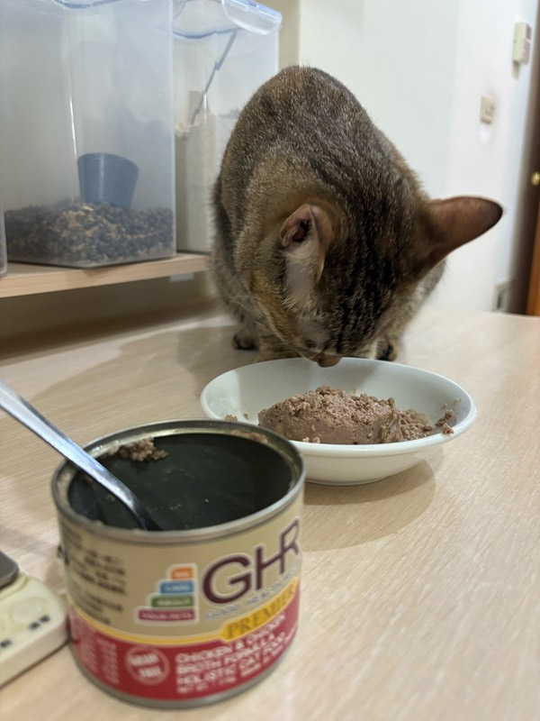 女人知己試用大隊,口碑行銷,部落客行銷,來自純淨自然無汙染的紐西蘭,自然主食罐,GHR 健康主義,GHR,貓用主食罐,貓罐,GHR貓用無穀主食罐,雞肉蔓越莓配方,鹿肉雞肉配方,牛羊加雞配方,刷尾負鼠肉雞肉配方,評價,口碑,適口性佳,心得,紐西蘭GHR,罐頭,貓咪,牛磺酸,軟骨素,維生素關節保健