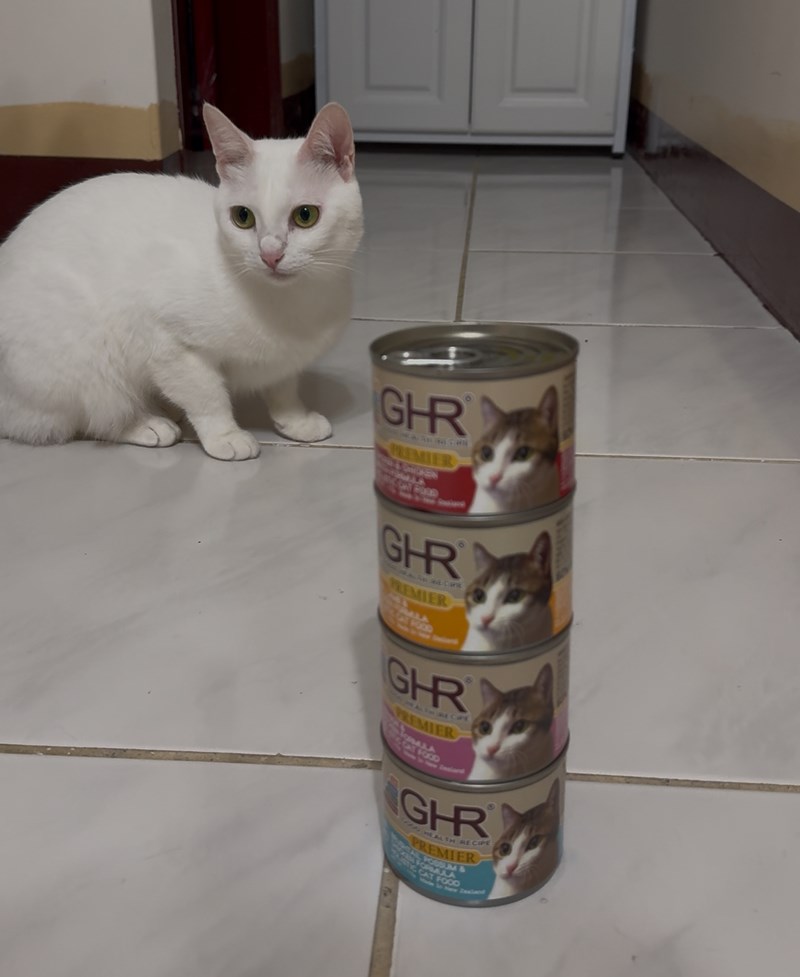 女人知己試用大隊,口碑行銷,部落客行銷,來自純淨自然無汙染的紐西蘭,自然主食罐,GHR 健康主義,GHR,貓用主食罐,貓罐,GHR貓用無穀主食罐,雞肉蔓越莓配方,鹿肉雞肉配方,牛羊加雞配方,刷尾負鼠肉雞肉配方,評價,口碑,適口性佳,心得,紐西蘭GHR,罐頭,貓咪,牛磺酸,軟骨素,維生素關節保健