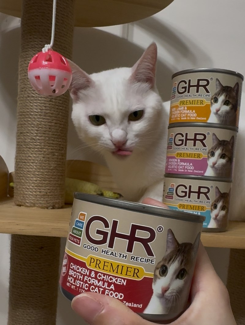 女人知己試用大隊,口碑行銷,部落客行銷,來自純淨自然無汙染的紐西蘭,自然主食罐,GHR 健康主義,GHR,貓用主食罐,貓罐,GHR貓用無穀主食罐,雞肉蔓越莓配方,鹿肉雞肉配方,牛羊加雞配方,刷尾負鼠肉雞肉配方,評價,口碑,適口性佳,心得,紐西蘭GHR,罐頭,貓咪,牛磺酸,軟骨素,維生素關節保健