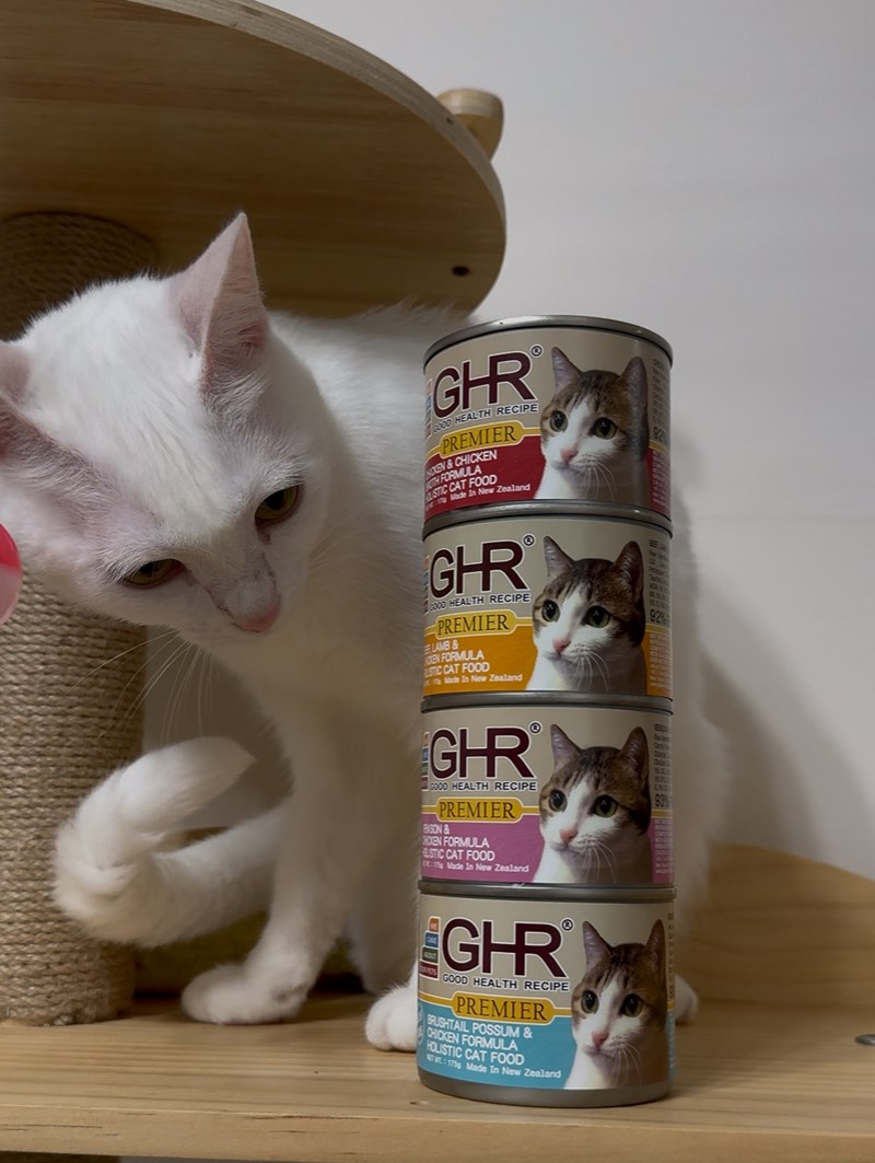 女人知己試用大隊,口碑行銷,部落客行銷,來自純淨自然無汙染的紐西蘭,自然主食罐,GHR 健康主義,GHR,貓用主食罐,貓罐,GHR貓用無穀主食罐,雞肉蔓越莓配方,鹿肉雞肉配方,牛羊加雞配方,刷尾負鼠肉雞肉配方,評價,口碑,適口性佳,心得,紐西蘭GHR,罐頭,貓咪,牛磺酸,軟骨素,維生素關節保健