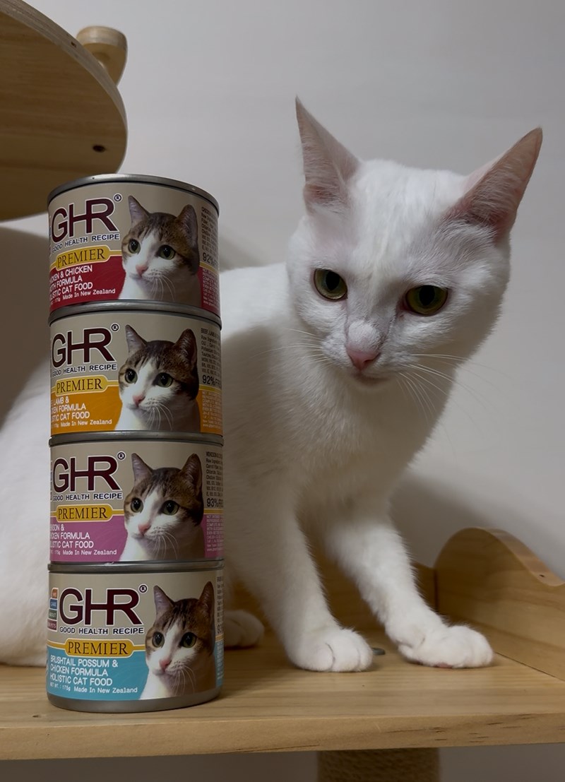 女人知己試用大隊,口碑行銷,部落客行銷,來自純淨自然無汙染的紐西蘭,自然主食罐,GHR 健康主義,GHR,貓用主食罐,貓罐,GHR貓用無穀主食罐,雞肉蔓越莓配方,鹿肉雞肉配方,牛羊加雞配方,刷尾負鼠肉雞肉配方,評價,口碑,適口性佳,心得,紐西蘭GHR,罐頭,貓咪,牛磺酸,軟骨素,維生素關節保健