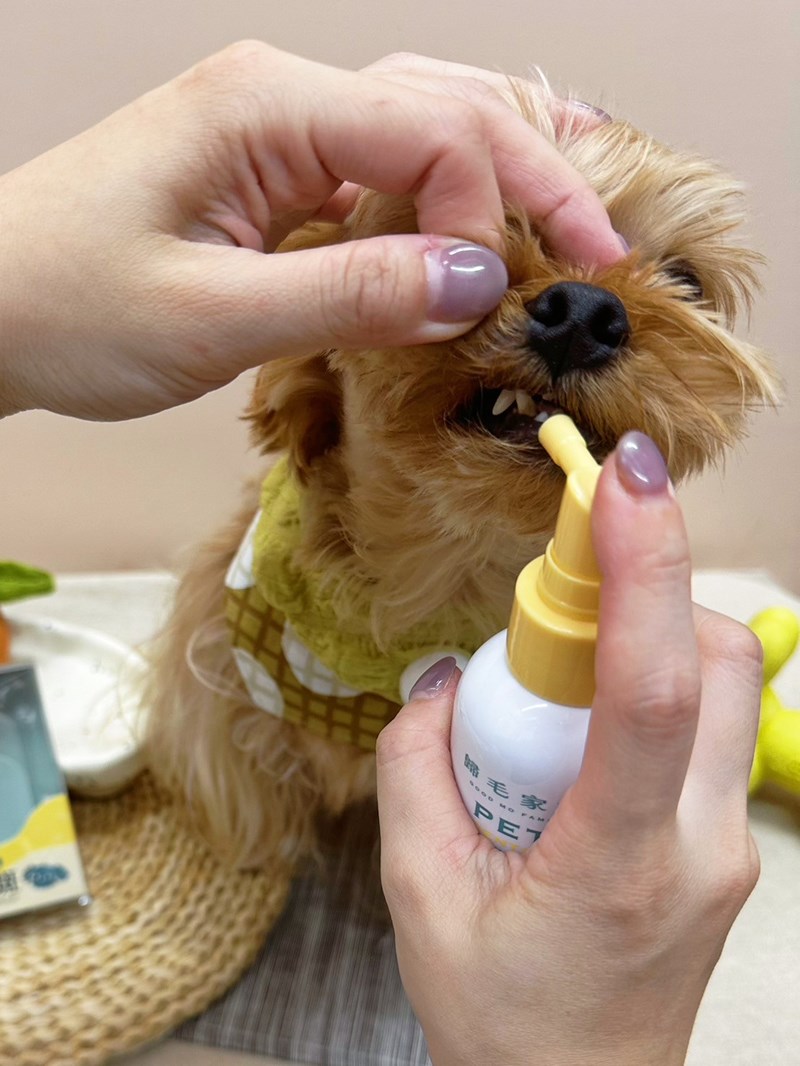 《歸毛家族》毛小孩嘴巴不臭臭的秘密武器,寵物一口好牙組使用下 試用