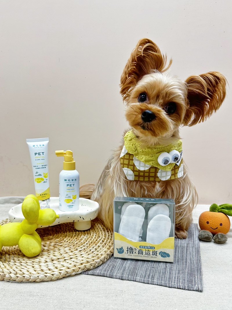 《歸毛家族》毛小孩嘴巴不臭臭的秘密武器,寵物一口好牙組使用下 試用