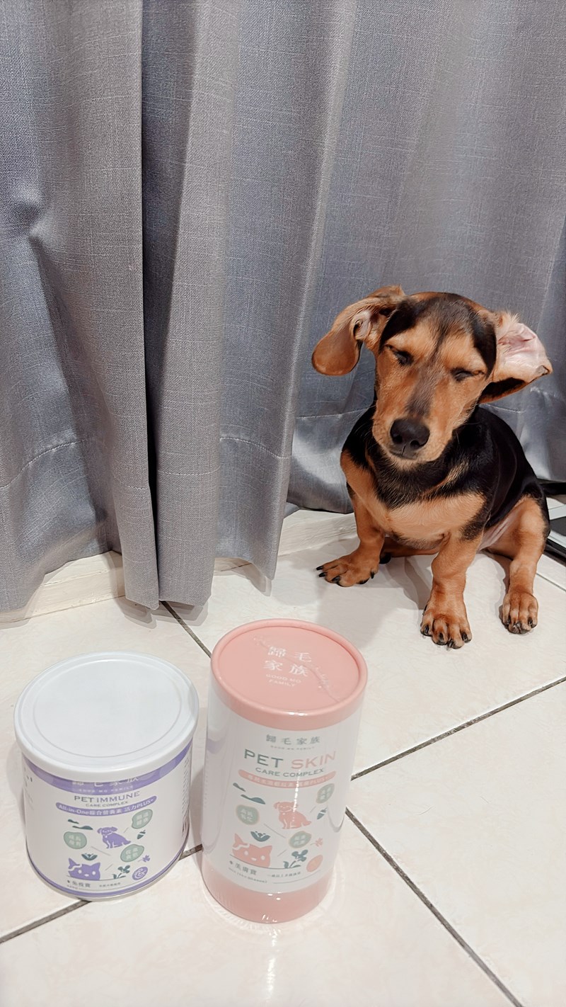 女人知己試用大隊,口碑行銷,部落客行銷,Goodmofamily歸毛家族 Good寶系列寵物保健品,歸毛家族Good寶系列寵物保健品,美膚寶,免疫寶,專利雙效益菌累積達140項認證,法國初乳蛋白,美國專利魚油粉,針對五臟六腑全面打底,維持免疫力,維持抵抗力,專利水溶蝦紅素,抗氧化之王,無毒養殖去殼鱉蛋粉,富含卵磷脂,好吸收的小分子劑型,堅持完整複方,多項國際專利認證,專業營養師團隊