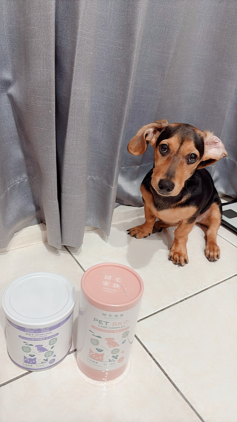 女人知己試用大隊,口碑行銷,部落客行銷,Goodmofamily歸毛家族 Good寶系列寵物保健品,歸毛家族Good寶系列寵物保健品,美膚寶,免疫寶,專利雙效益菌累積達140項認證,法國初乳蛋白,美國專利魚油粉,針對五臟六腑全面打底,維持免疫力,維持抵抗力,專利水溶蝦紅素,抗氧化之王,無毒養殖去殼鱉蛋粉,富含卵磷脂,好吸收的小分子劑型,堅持完整複方,多項國際專利認證,專業營養師團隊