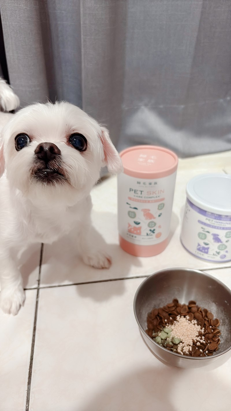 女人知己試用大隊,口碑行銷,部落客行銷,Goodmofamily歸毛家族 Good寶系列寵物保健品,歸毛家族Good寶系列寵物保健品,美膚寶,免疫寶,專利雙效益菌累積達140項認證,法國初乳蛋白,美國專利魚油粉,針對五臟六腑全面打底,維持免疫力,維持抵抗力,專利水溶蝦紅素,抗氧化之王,無毒養殖去殼鱉蛋粉,富含卵磷脂,好吸收的小分子劑型,堅持完整複方,多項國際專利認證,專業營養師團隊