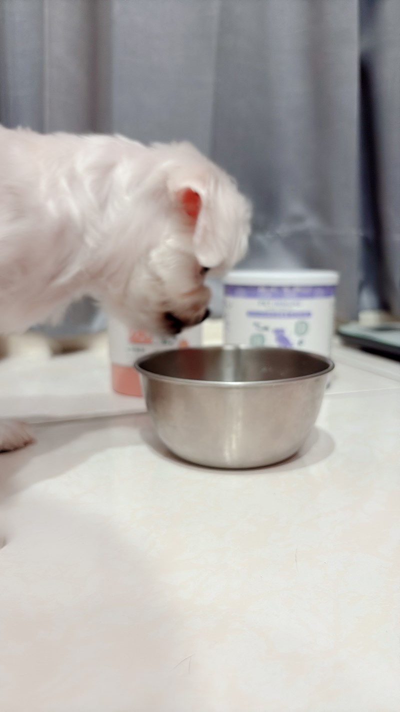 女人知己試用大隊,口碑行銷,部落客行銷,Goodmofamily歸毛家族 Good寶系列寵物保健品,歸毛家族Good寶系列寵物保健品,美膚寶,免疫寶,專利雙效益菌累積達140項認證,法國初乳蛋白,美國專利魚油粉,針對五臟六腑全面打底,維持免疫力,維持抵抗力,專利水溶蝦紅素,抗氧化之王,無毒養殖去殼鱉蛋粉,富含卵磷脂,好吸收的小分子劑型,堅持完整複方,多項國際專利認證,專業營養師團隊