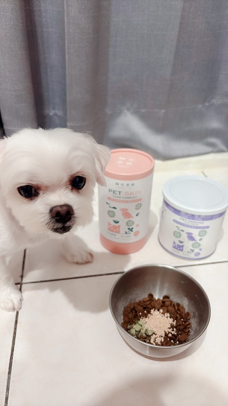 女人知己試用大隊,口碑行銷,部落客行銷,Goodmofamily歸毛家族 Good寶系列寵物保健品,歸毛家族Good寶系列寵物保健品,美膚寶,免疫寶,專利雙效益菌累積達140項認證,法國初乳蛋白,美國專利魚油粉,針對五臟六腑全面打底,維持免疫力,維持抵抗力,專利水溶蝦紅素,抗氧化之王,無毒養殖去殼鱉蛋粉,富含卵磷脂,好吸收的小分子劑型,堅持完整複方,多項國際專利認證,專業營養師團隊