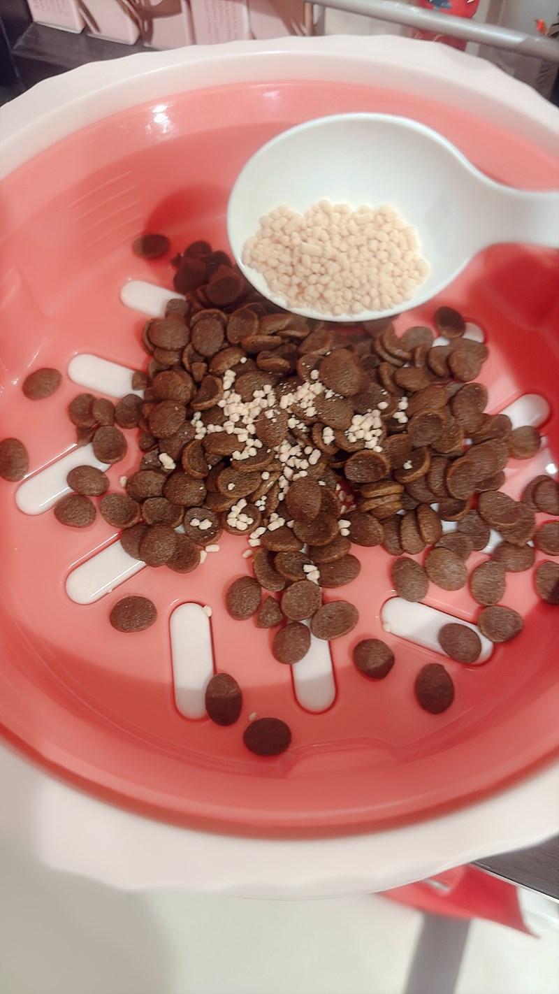 女人知己試用大隊,口碑行銷,部落客行銷,Goodmofamily歸毛家族 Good寶系列寵物保健品,歸毛家族Good寶系列寵物保健品,美膚寶,免疫寶,專利雙效益菌累積達140項認證,法國初乳蛋白,美國專利魚油粉,針對五臟六腑全面打底,維持免疫力,維持抵抗力,專利水溶蝦紅素,抗氧化之王,無毒養殖去殼鱉蛋粉,富含卵磷脂,好吸收的小分子劑型,堅持完整複方,多項國際專利認證,專業營養師團隊