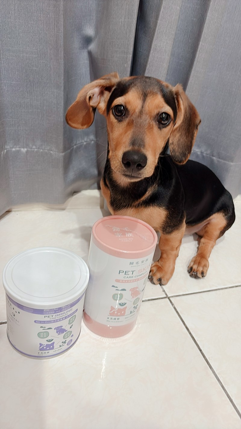 女人知己試用大隊,口碑行銷,部落客行銷,Goodmofamily歸毛家族 Good寶系列寵物保健品,歸毛家族Good寶系列寵物保健品,美膚寶,免疫寶,專利雙效益菌累積達140項認證,法國初乳蛋白,美國專利魚油粉,針對五臟六腑全面打底,維持免疫力,維持抵抗力,專利水溶蝦紅素,抗氧化之王,無毒養殖去殼鱉蛋粉,富含卵磷脂,好吸收的小分子劑型,堅持完整複方,多項國際專利認證,專業營養師團隊